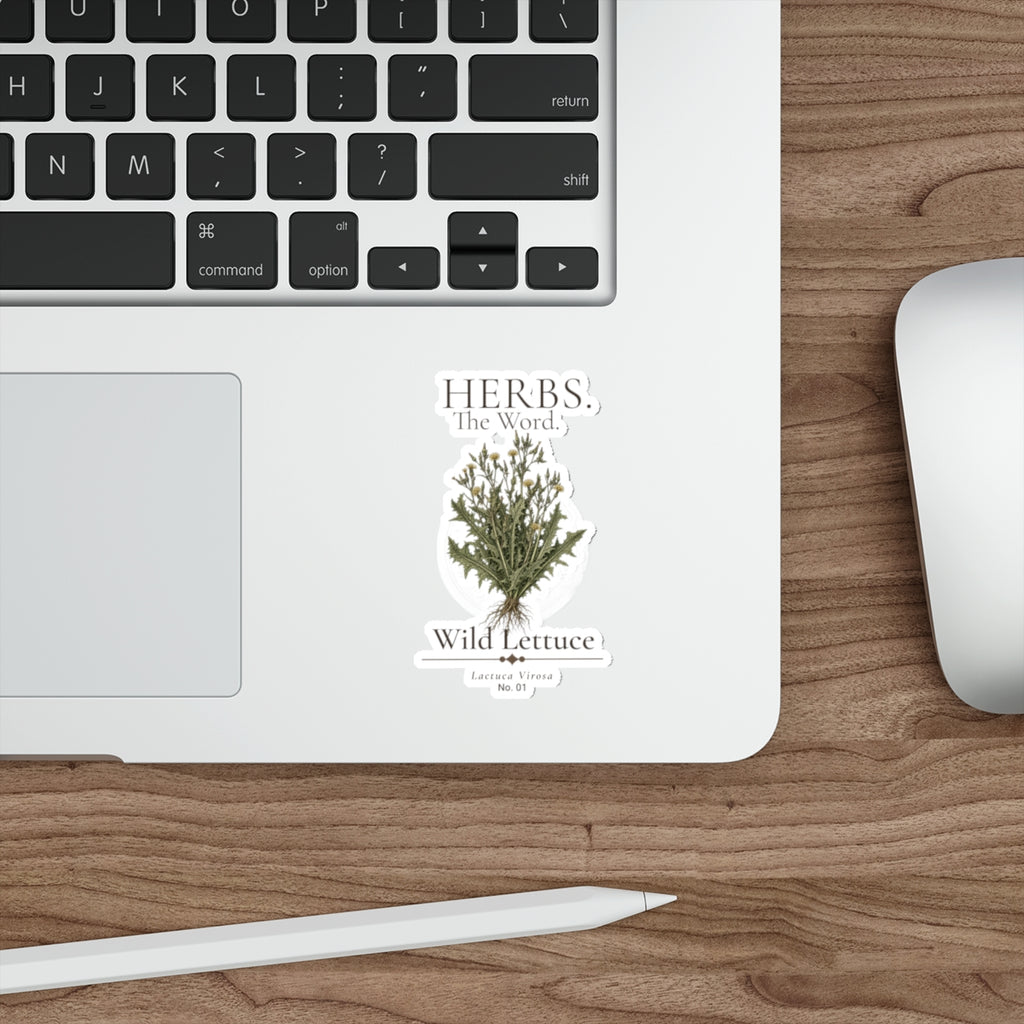 HERBS. THE WORD. Wild Lettuce Sticker | Botanical Herb Illustration