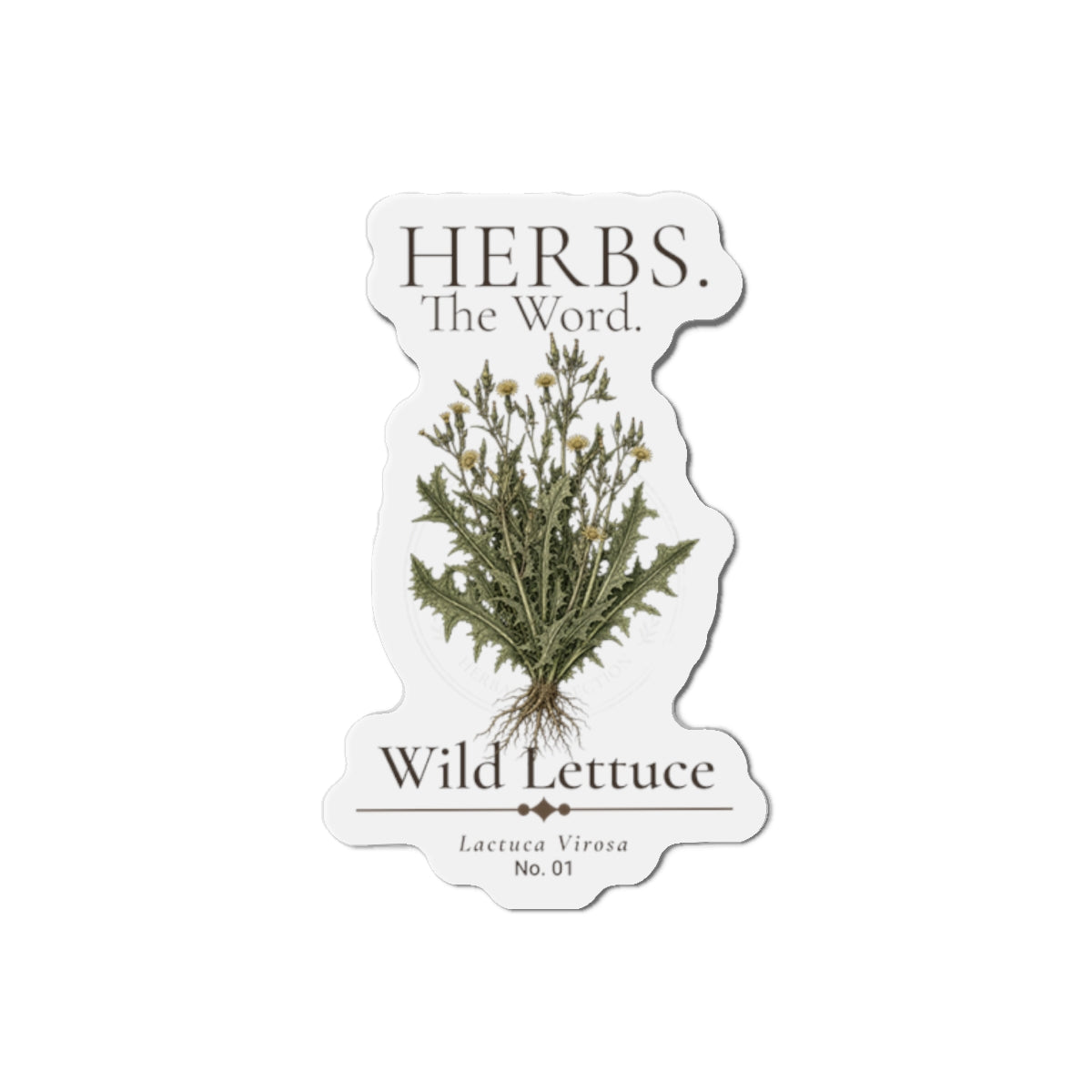 HERBS. THE WORD. Wild Lettuce Herb Magnet | Vintage Botanical Kitchen Decor