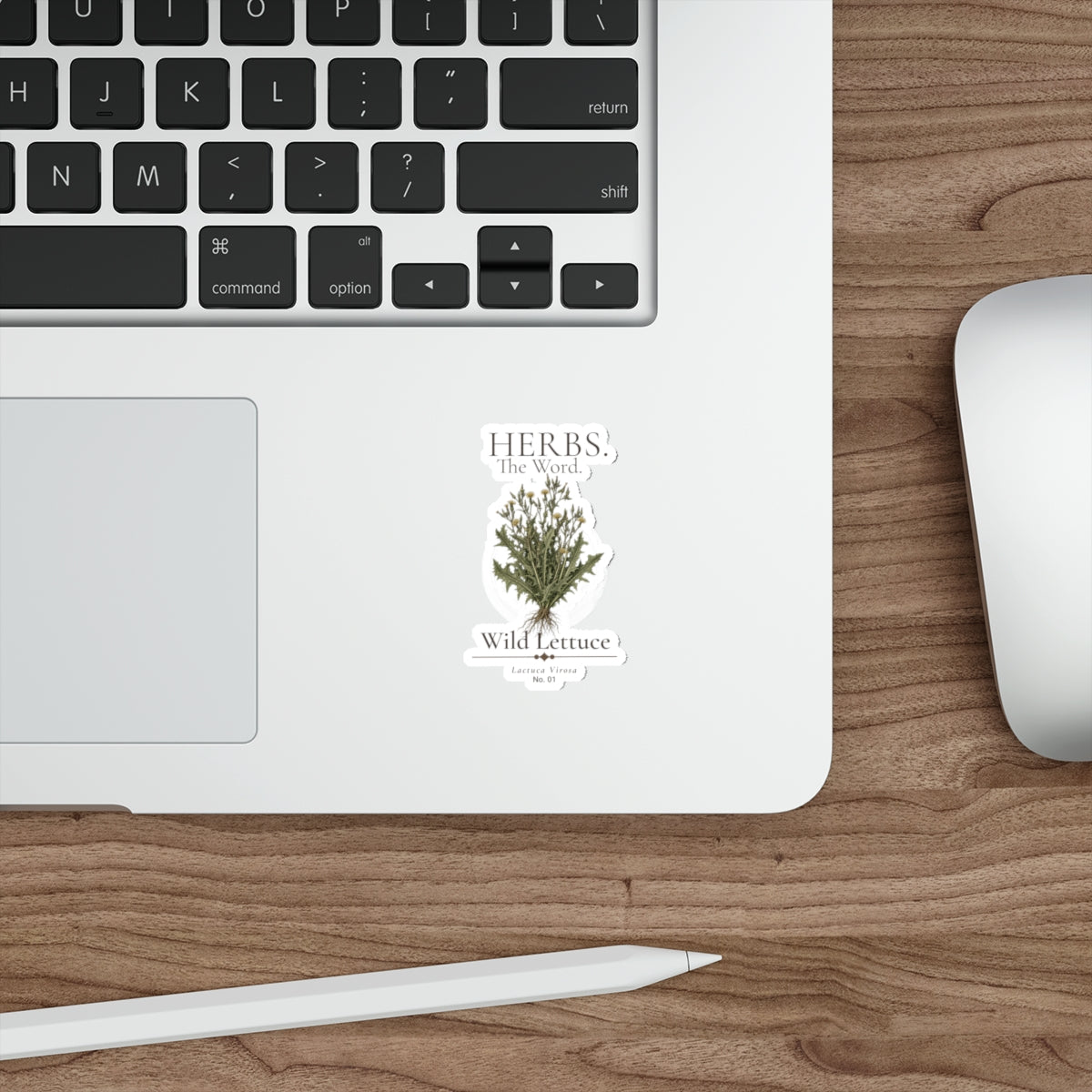 HERBS. THE WORD. Wild Lettuce Sticker | Botanical Herb Illustration
