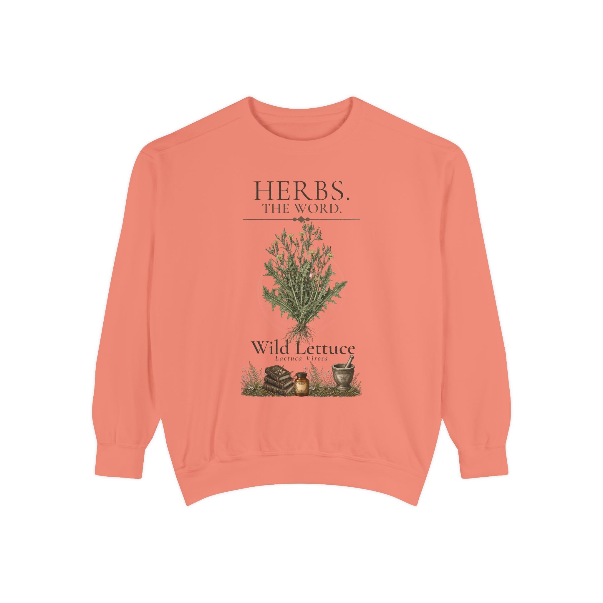 HERBS. THE WORD. Wild Lettuce Sweatshirt | Botanical Herb Art