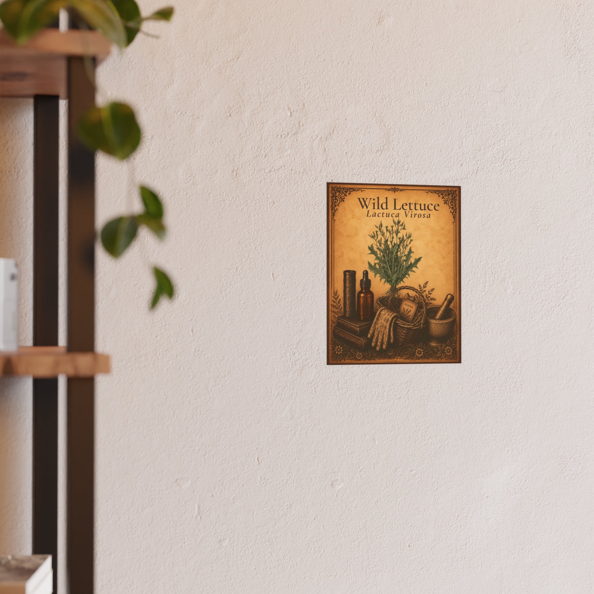 Wild Lettuce (Lactuca virosa) Botanical Print — Vintage Herbarium Wall Art | Herbs. The Word. Collection No. 01