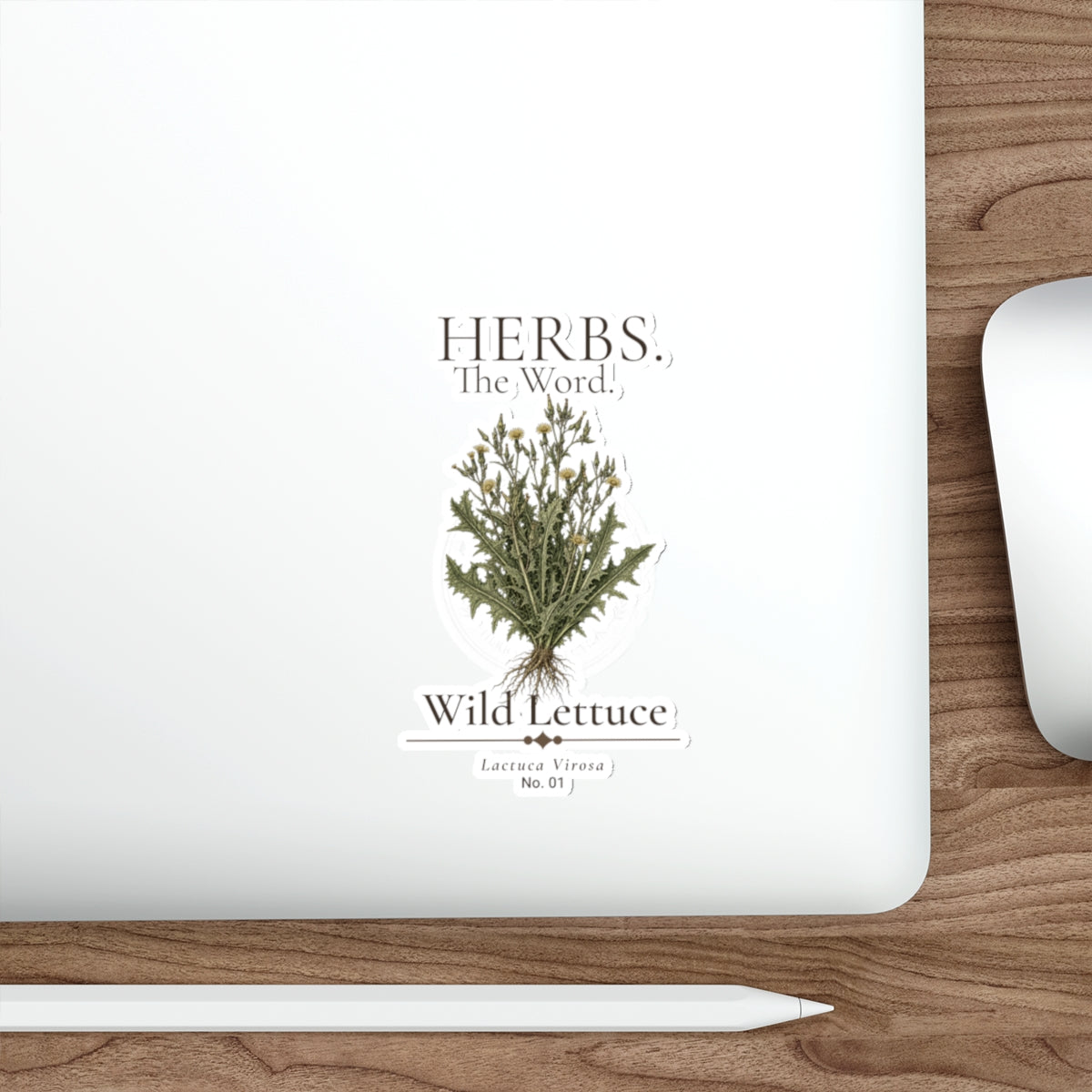 HERBS. THE WORD. Wild Lettuce Sticker | Botanical Herb Illustration