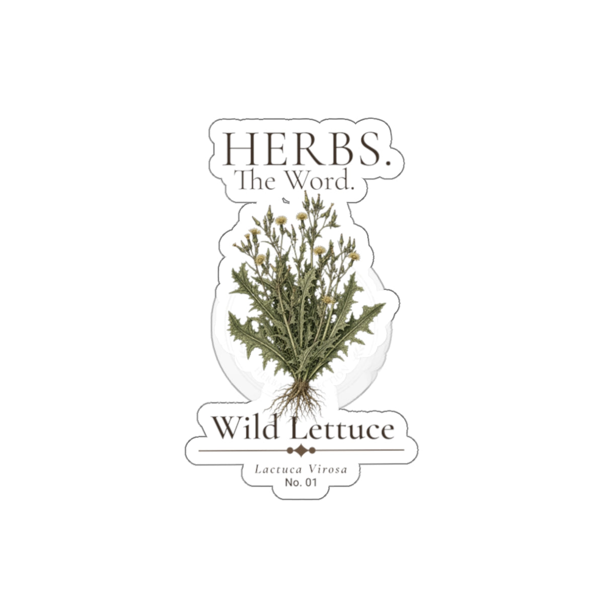 HERBS. THE WORD. Wild Lettuce Sticker | Botanical Herb Illustration