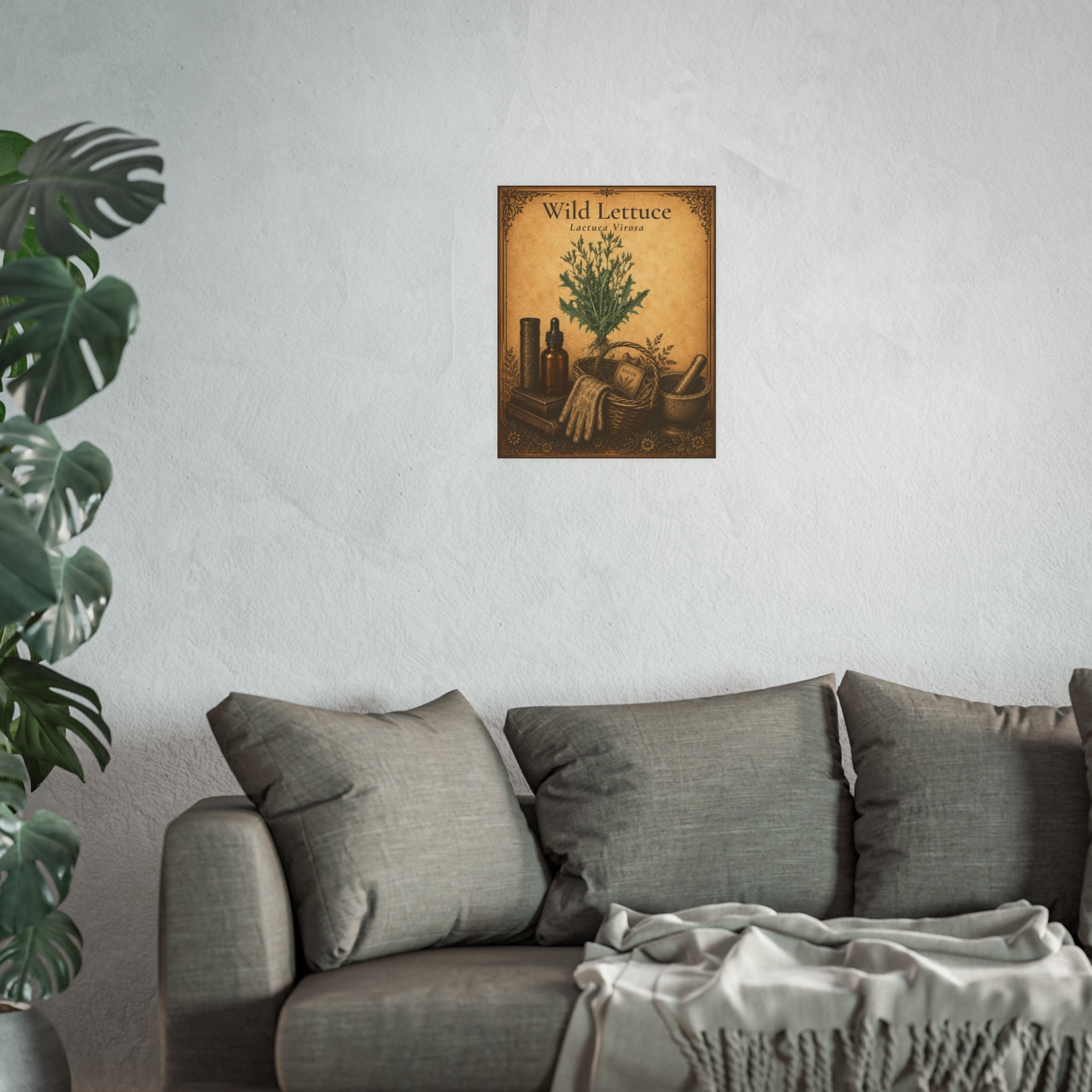 Wild Lettuce (Lactuca virosa) Botanical Print — Vintage Herbarium Wall Art | Herbs. The Word. Collection No. 01